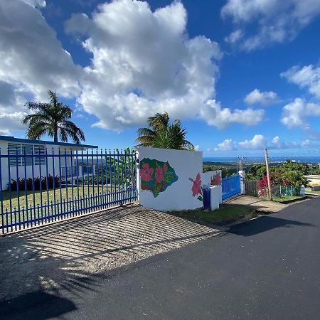 Million Dollar View In Puerto Rico Villa Лукильо Екстериор снимка