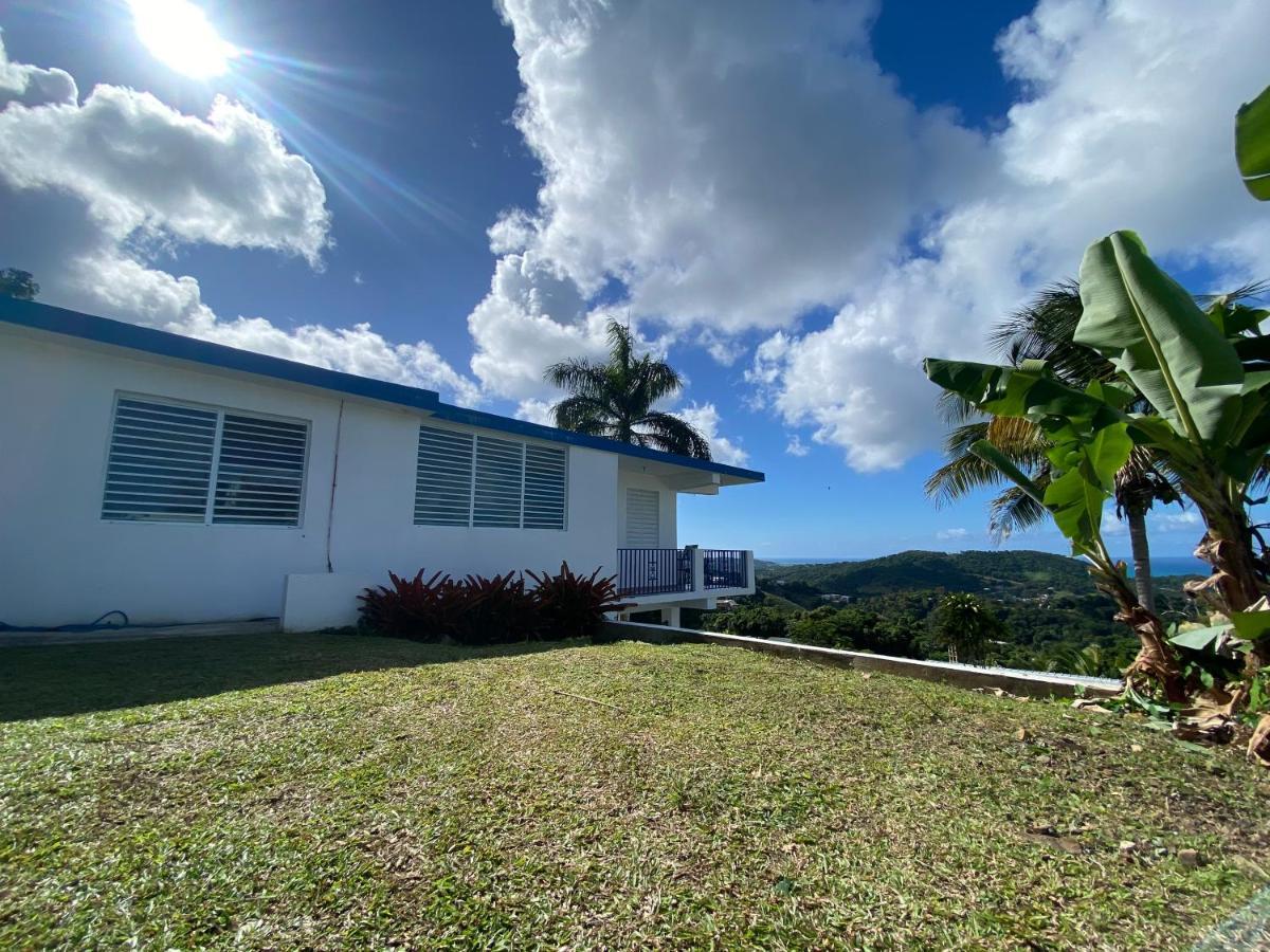 Million Dollar View In Puerto Rico Villa Лукильо Екстериор снимка