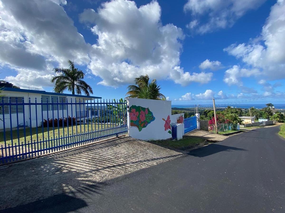 Million Dollar View In Puerto Rico Villa Лукильо Екстериор снимка