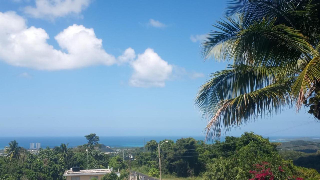Million Dollar View In Puerto Rico Villa Лукильо Екстериор снимка